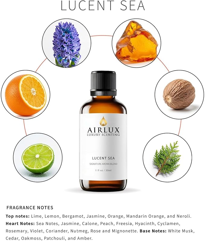 Signature Aroma Oil No. 4 Lucent Sea – Aroma Oil for Cold Air & Waterless Diffusers and DIY Crafts – 30 mL, 1.0 fl oz Glass Bottle Airlux