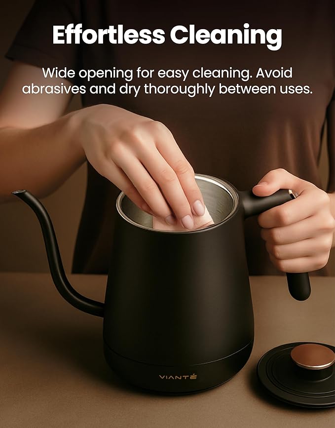 Vianté Electric Gooseneck Kettle with Precise Temperature Control. Pour Over Coffee & Tea Kettle. Boil-Dry Protection & Keep Warm Function. Stainless Steel, BPA-Free. Includes V60#2 Filters. 0.8L - Bloomnest