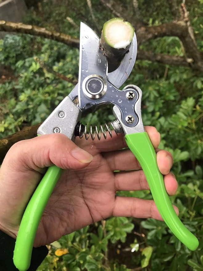 Garden Shears, Japanese Pruning Shears for Heavy Duty, Flowers Herbs Grapes Plant and Branch Cutters, Clippers, Trimmers, Scissors (Green) - Bloomnest