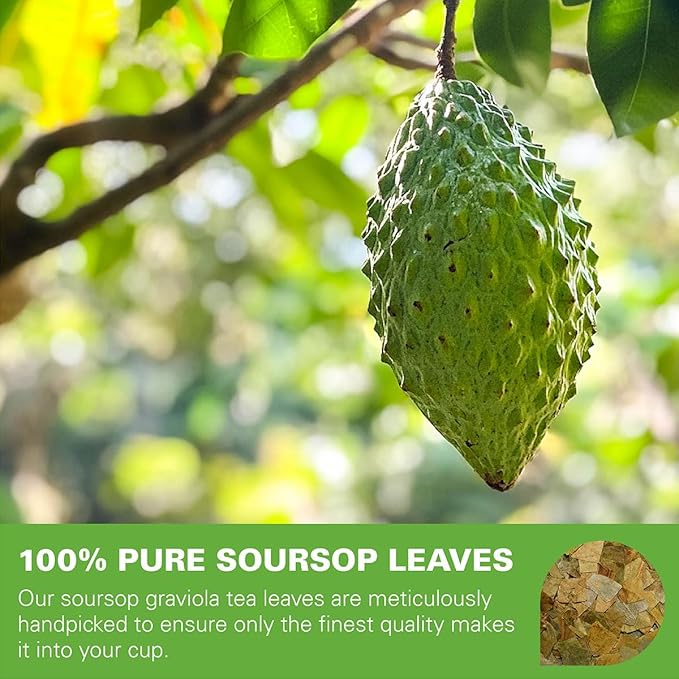 WT WEETEE Soursop Leaves Tea Bags 50 Count, Made with 100% Pure Soursop Graviola/Guanabana Leaves, Natural Caffeine-free Herbal Tea, Corn Fiber Tea Bags - Bloomnest