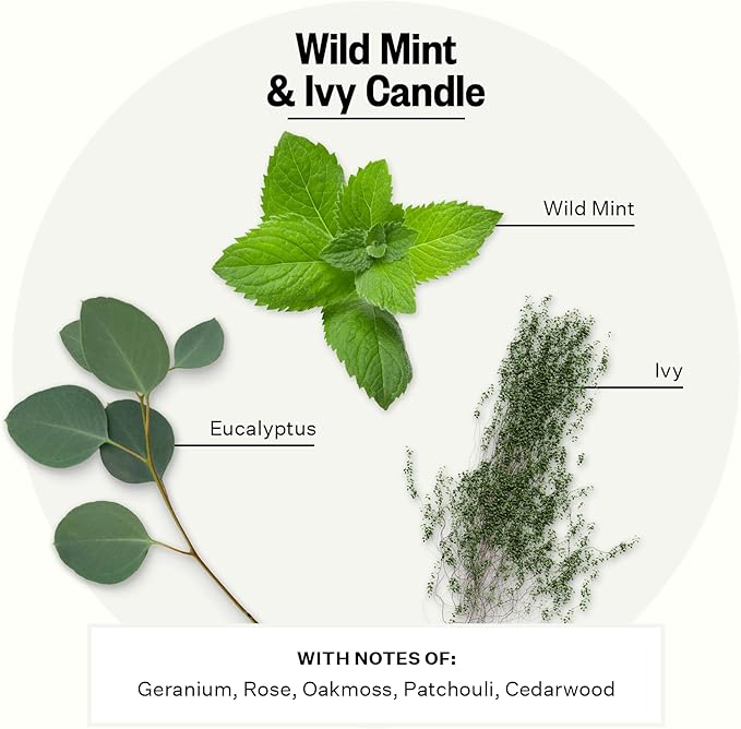 Apotheke Signature Scented Candles for Home, Wild Mint & Ivy - 10.5 oz - Soy Wax, Non Toxic, Large Jar White - Luxury Candle Gifts for Women & Men - Eucalyptus, Patchouli, Cedarwood, and Rose - Bloomnest