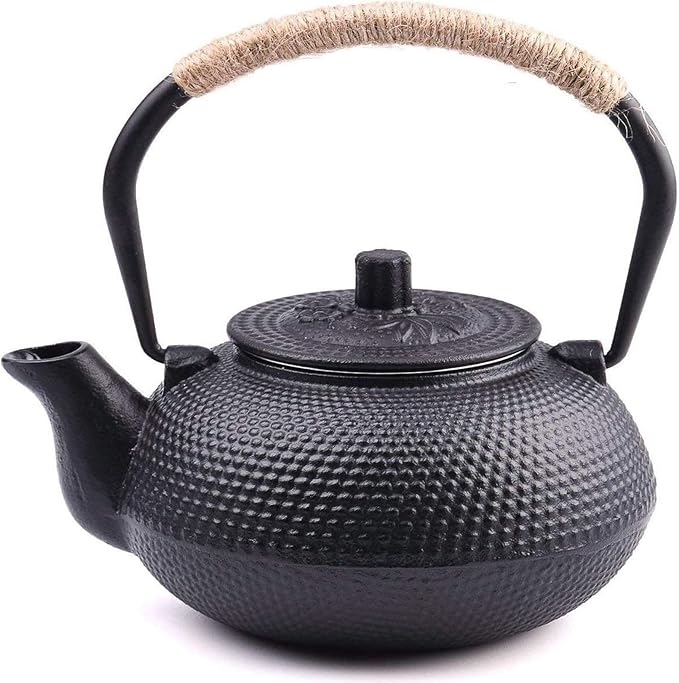 suyika Japanese Tetsubin Cast Iron Teapot Tea Kettle pot with Stainless Steel Infuser for Stovetop Safe Coated with Enameled Interior 22 oz/650 ml - Bloomnest