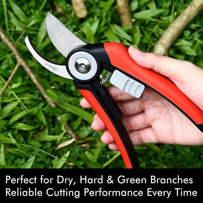 LIVINGO Bypass Pruning Shears - 8.2" Heavy Duty Garden Clippers with Curved Blades, Sharp Plant Scissors for Branches, Bushes & Shrubs, Ergonomic Handles, Spring Action - Bloomnest