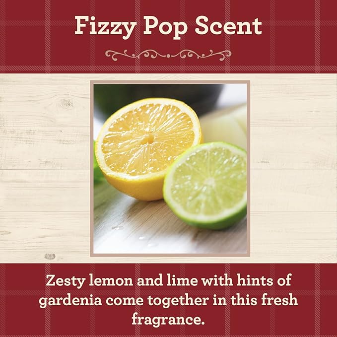 Our Own Candle Company, Fizzy Pop Scented Mason Jar Candle, 100 Hour Burn Time, 13 Ounces - Bloomnest