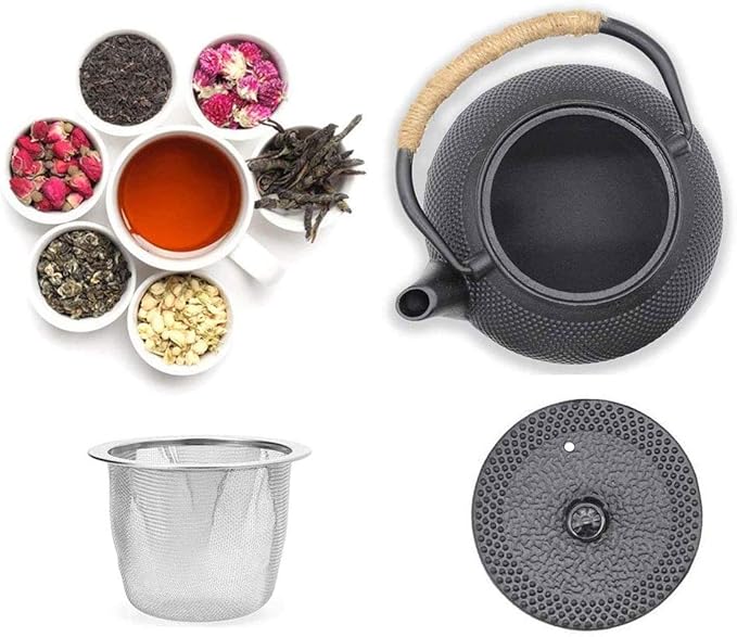 HwaGui Japanese Tetsubin Cast Iron Teapot, Iron Tea Pot with Infuser for Loose Tea, Cast Iron Tea Kettle Stovetop Safe, Teapot Coated with Enameled Interior, 600ml/20oz - Bloomnest