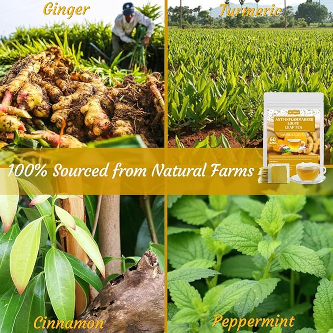 60 Premium Anti-Inflammaherb Tea Bags, Made with 100% Natural Herb Ingredients, Turmeric, Ginger, Ceylon Cinnamon, Peppermint, Black Pepper, No Additives & Caffeine Free. - Bloomnest