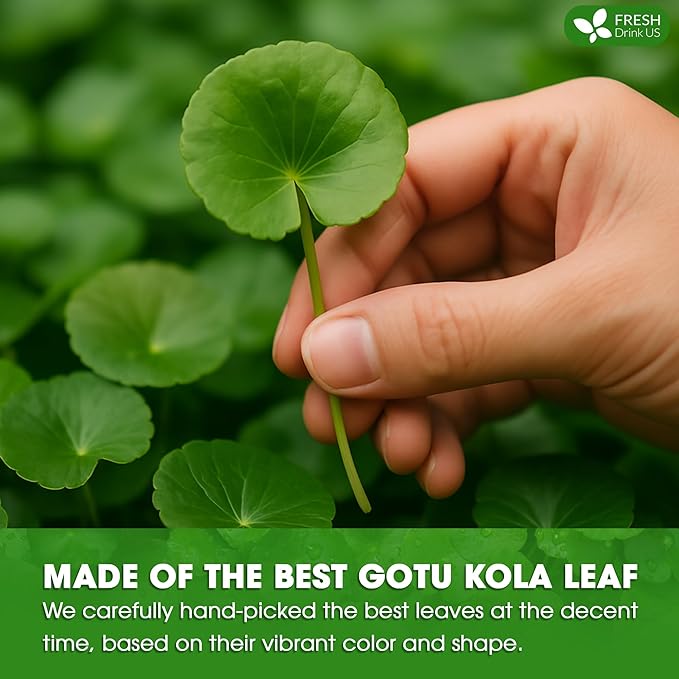 FreshDrinkUS, Premium Gotu Kola Leaf Tea – 75 Tea Bags | Pure Dried Centella Asiatica Leaves | Naturally Caffeine-Free Herbal Tea | Refreshing Aroma & Smooth Taste | Premium Herbal Infusion. Vegan - Bloomnest