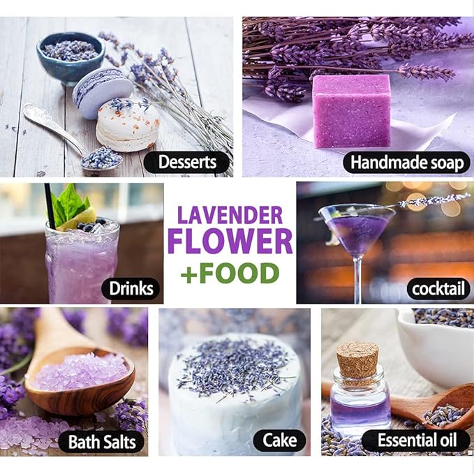 TIAN HU SHAN Dried Lavender Flower Buds, Culinary Food Grade for Baking, Fresh Fragrance, 4 Ounce, Caffeine Free Suger Free Vegan Herbal Tea, Packing in Bulks - Bloomnest