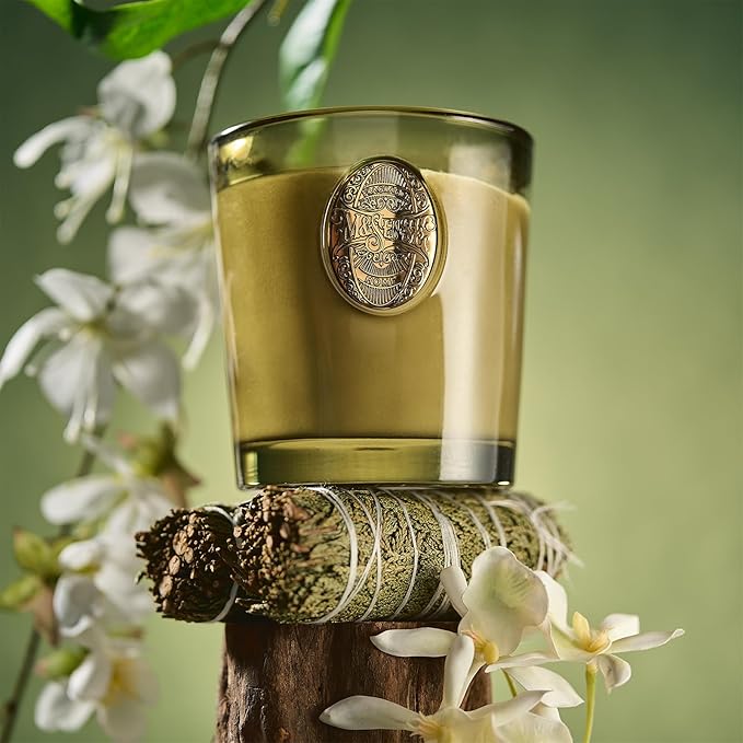 M&SENSE Natural Strong Soy Candle | Sandalwood Jasmine & Green | 9.2 oz, 50H Burn Time | Luxury Candle for Relaxation, Gifting, Home Décor | Ideal for Bedroom, Office, Party Ambiance - Bloomnest