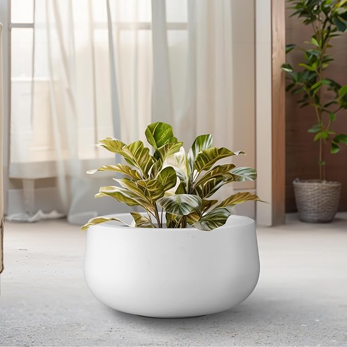 Kante 11.8" Dia Round Concrete Planter, Cement Plant Pots with Drainage Hole and Rubber Plug for Outdoor Indoor Garden Home, Modern Curvaceous Design, Pure White - Bloomnest