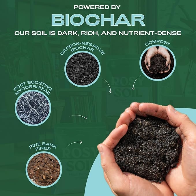 Rosy Soil Indoor Potting Soil for House Plants - Organic Potting Soil Mix for Indoor Plants - Enriched w/Root-Boosting Biochar for Foliage Plants, Flowers, Herbs - Peat Free, Less Prone to Gnats - 8qt - Bloomnest
