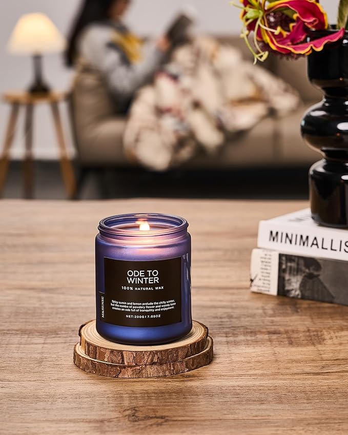M&SENSE Ode to Winter Scented Candle for Home Natural Soy Wax Non Toxic Cotton Wick Winter Scent, 7.05oz Up to 50 Hours Burn Time Gifts for Christmas Holiday - Bloomnest