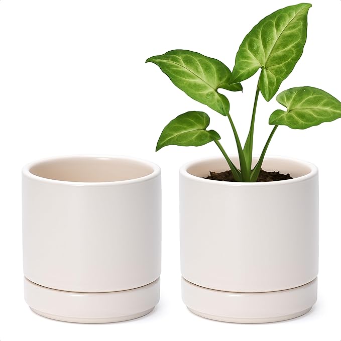 D'vine Dev Set of 2 Plants Pots, 4.7 Inch Ceramic Planter Pot for Plants with Drainage Hole and Saucer, Oatmeal, 94-V-B-8 - Bloomnest