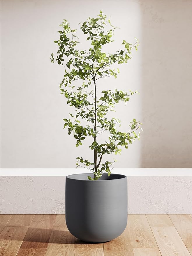 LE TAUCI 12 Inch Pots for Plants, Ceramic Large Planters for Indoor Plants, Indoor Plant Pots for Home Garden Patio Office, Big Planter Pots with Drainage Hole and Rubber Plug, Charcoal Gray - Bloomnest