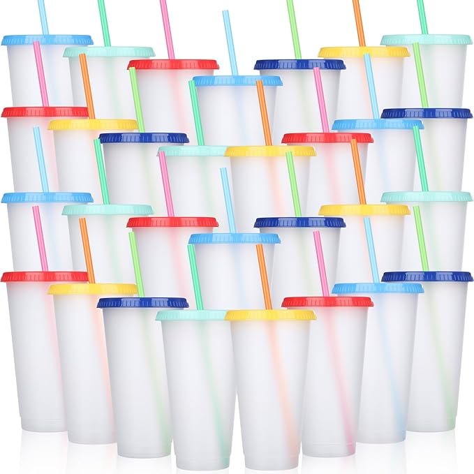 Honeydak 30 Pack Tumbler with Straw and Lid Bulk Water Bottle Iced Coffee Travel Mug Cup Reusable Plastic Cups for Party Birthdays 24-27 oz (Stylish Color) - Bloomnest