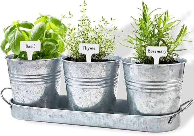 vensovo Indoor Herb Planter Set - Galvanized Windowsill Garden Pots with Tray & Drainage, Set of 3 Metal Window Planters for Kitchen & Outdoor Use, Silver - Bloomnest