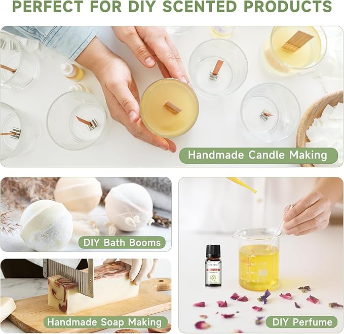 PHATOIL Coconut 20 Pcs Fragrance Oil Set, Premium Fragrance Oil, for Humidifier, DIY Candle & Soap Making Scent, Aromatherapy Diffuser Oils Set (5ML) - Bloomnest