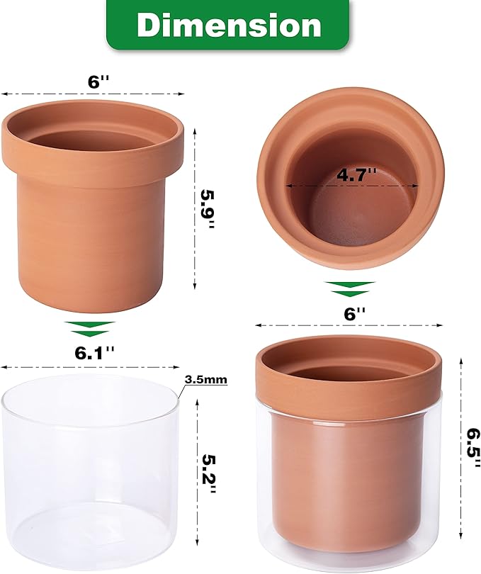 Phoenix Vine 6 Inch Self Watering Planter Pot, Terracotta Clay Pot with Glass Reservoir for Indoor Plants, Herbs, Flowers, Set of 2, 52-A-F-2 - Bloomnest