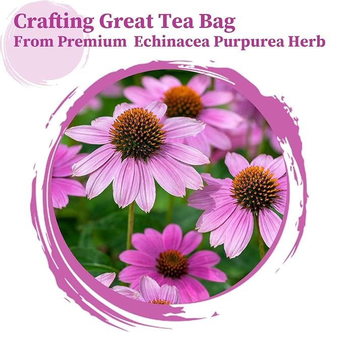 FullChea - Echinacea Tea Bags, 50 Count, 2g/bag - Premium Echinacea Purpurea Herb - Non-GMO - Caffeine-free - Aid Digestion & Boost Immunity - Bloomnest
