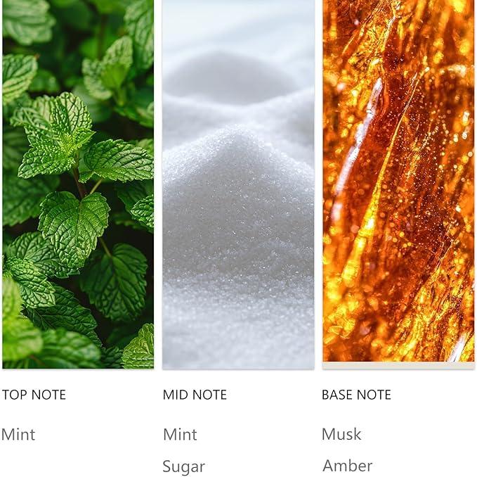Hotel Waterless Diffuser Oil Candy Mints 20ML Sampler for Festival & Christmas, Essential Scent Oil Usage Cold Air Waterless Diffuser, Luxury Scents Oils Fragrance for Home - Bloomnest
