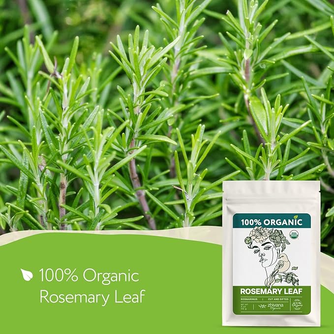 Organic Rosemary Leaf (4 oz.) (Rosmarinus officinalis) – Loose Dried Leaves – Edible Grade for Tea, Seasoning & Herbal Use - Bloomnest