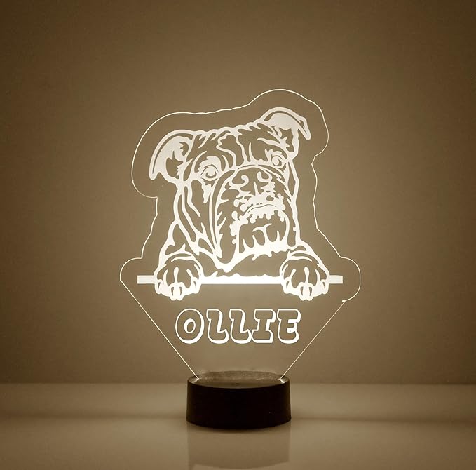 Dog LED Light for Dog Lovers, Custom Engraved with Your Name or Text, Includes Remote with 16 Colors (Shar Pei) - Bloomnest