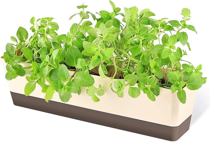 GREANER Window Boxes, 1 Pack 16 x3.8 Inch Indoor Rectangle Planter, Herb Succulent Cactus Window Box with Saucer, Modern Plastic Plant Pot for Windowsill, Garden Balcony, Home Office Outdoor Decor - Bloomnest
