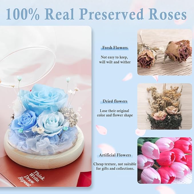 FIACO Preserved Rose Birthday Gift for Women Forever Fresh Flowers for Prime Delivery Gift for Mom Grandma Wife Valentines Mothers Day Christmas Anniversary Eternal Roses in Glass Dome - Bloomnest