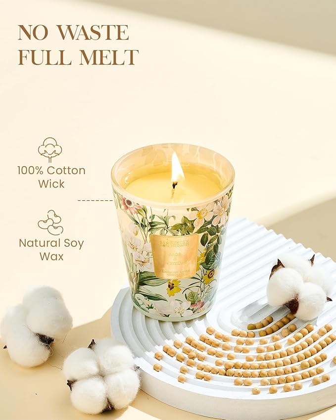 M&SENSE Sage Citrus Scented Natural Soy Wax Candle, 14.1oz 60 Hours Long Lasting Slow Burning, Aromatherapy Fall Winter Candle for Stress Relief, Festival Thanksgiving Christmas Housewarming Gifts - Bloomnest