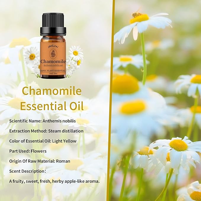 yethious Rose Jasmine Chamomile Essential Oil Set Organic 100% Pure Aromatherapy Oil for Diffuser, Soap, Candle Making 3 X 10ML - Bloomnest