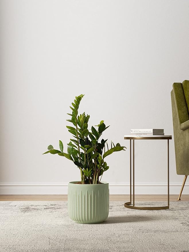 LE TAUCI Fluted Ceramic Planters Set of 3 – 8.3/7 / 5.7 in Sage Green Reactive Cylinder Indoor Plant Pots with Drainage Plug & Mesh, Glossy Stoneware Flower Pots for Succulents Herbs - Bloomnest