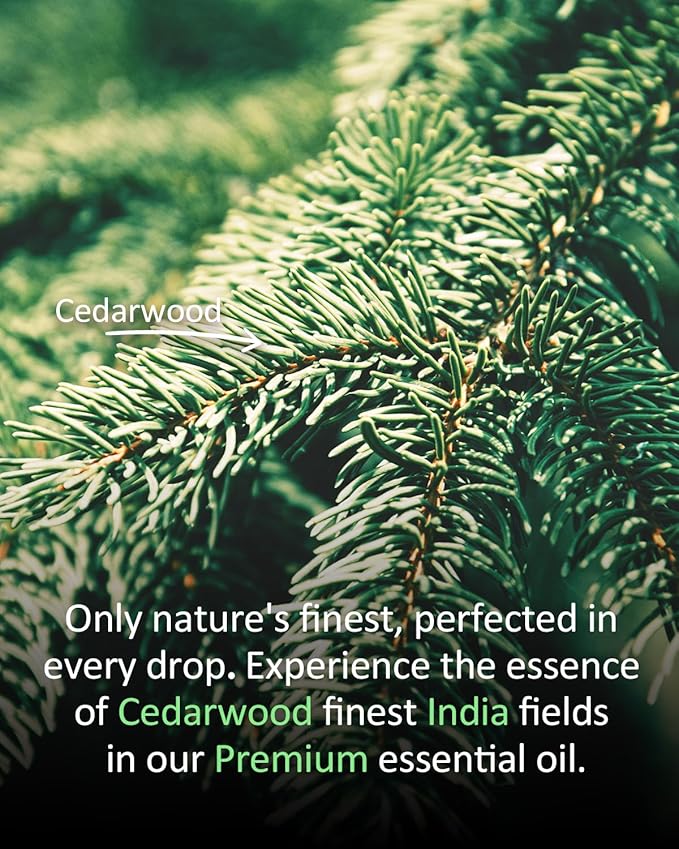 Pure Cedarwood Essential Oil 4 fl oz (120ml), 100% Natural, Warm Woody Aroma Not Sweet or Floral, Large Size for Diffusers, DIY Candles, Soap,s Sprays, Aromatherapy Home Airoomoil