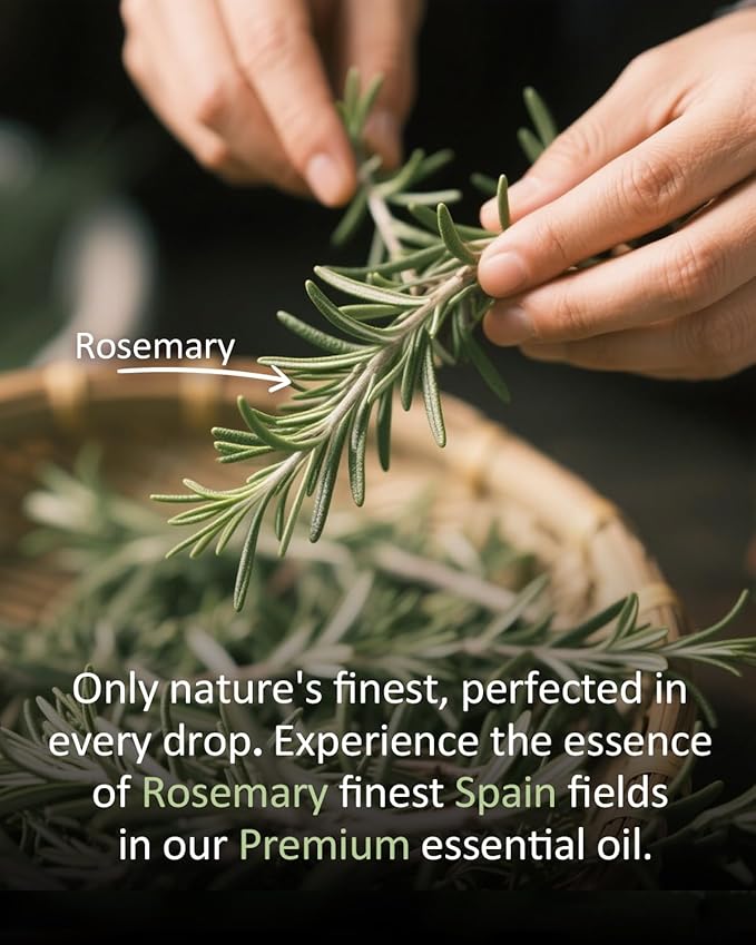Pure Rosemary Essential Oil Hair Natural Aromatherapy Skin & Body Care Candle Making Home Fragrance Diffuser Oil 4 Fl Oz Airoomoil