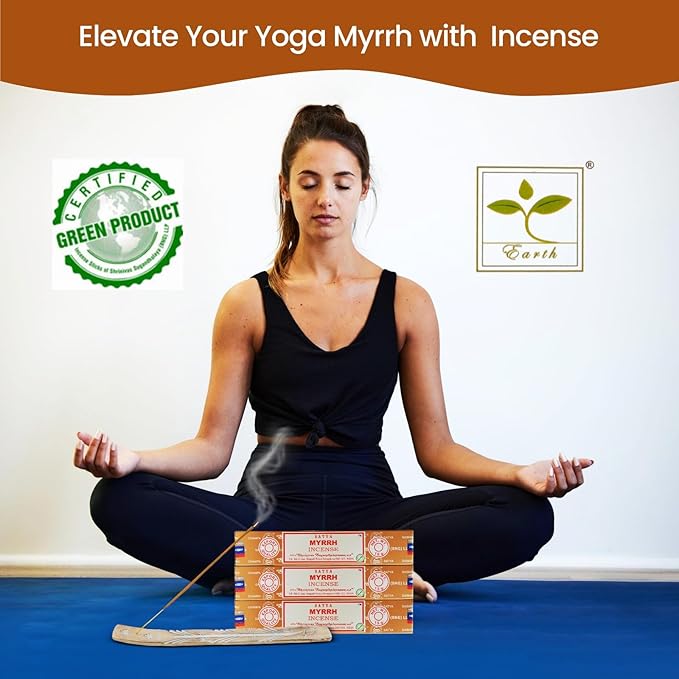 Satya Myrrh Incense Sticks, Satya 15gmx12 Pack with Raajsee Incense Holder Bundle, Satya Nagchampa Natural Incense - Bloomnest