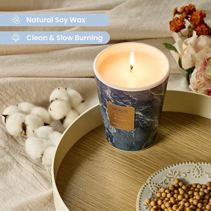 M&SENSE Ocean Breeze Scented Candles for Home, Lead-Free Wick Highly Scented Jar Candles, 14.1 Oz 80 Hours Lasting Burning Candles Gifts for Women, Relaxing Aromatherapy Candle for Stress Relief - Bloomnest