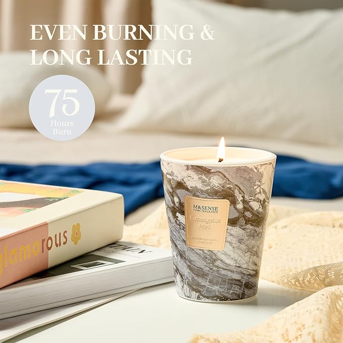 M&SENSE EucalyptusMint Scented Candles for Home, Lead-Free Wick Highly Scented Jar Candles, 14.1 Oz 80 Hours Lasting Burning Candles Gifts for Women, Relaxing Aromatherapy Candle for Stress Relief - Bloomnest