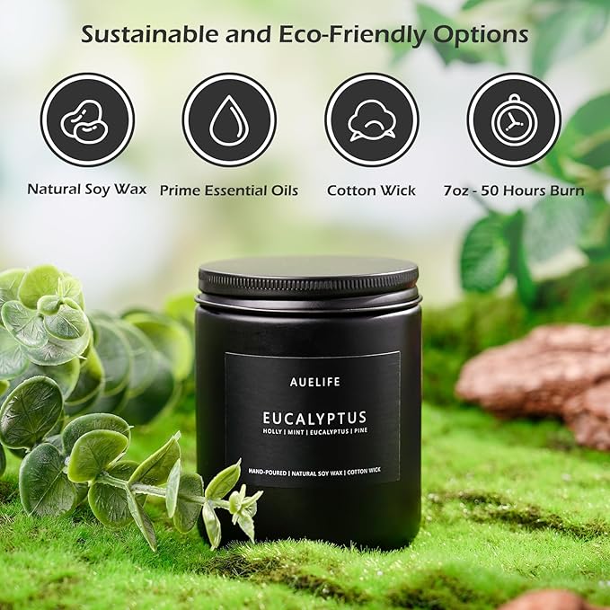 Eucalyptus Candle | Eucalyptus Scented Candles, Eucalyptu Leaf Fragrance for Indoor & Outdoor, Summer Candle Gifts, Natural Soy Candles for Home Scented - 7oz, 50 Hours Burn Time - Bloomnest