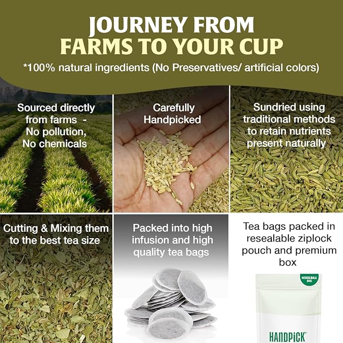 HANDPICK Fennel Seed Tea Bags (100 Count), Authentic Indian Origin with Natural Aroma & Sweetness | Naturally Support Digestion & Immune System | 100% Pure, Non GMO & Caffeine Free - Bloomnest