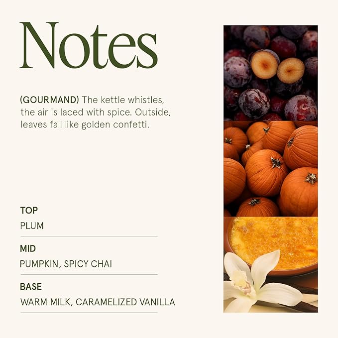 LA JOLIE MUSE Pumpkin Chai Candle | Spicy Chai & Vanilla | 12 oz Double Wick Soy Candle | 60 Hours Clean Burn | Elegant Home Décor & Hosting Gift - Bloomnest