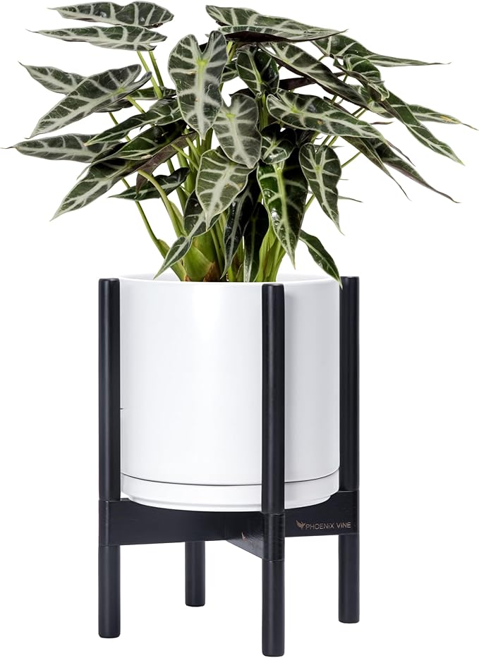 D'vine Dev Ceramic Planter with Ebony Stand - 10 Inch Modern Round Flower Pot with Wood Planter Holder, White, 55-B-L-1 - Bloomnest