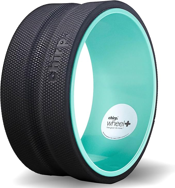 Chirp Wheel Foam Roller – Targeted Back & Neck Relief, Lumbar Spine Stretcher, Spinal Decompression Back Stretcher, Massage Roller with Density Foam for Physical Therapy, Supports 500lbs, 10-Inch Mint - Bloomnest