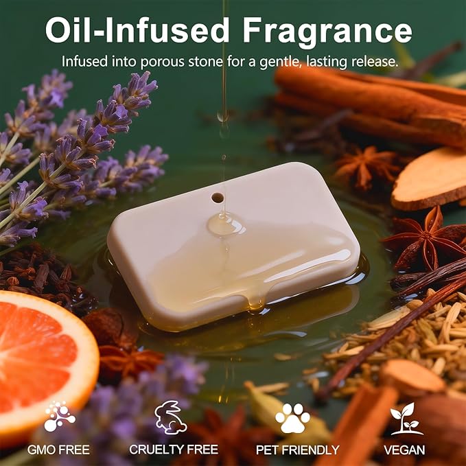Car Air Freshener, 2-in-1 Stone Car Freshener with Visor Clip & Hanging Scent Diffuser, Natural Scent Stone Diffuser, Long-Lasting Odor Eliminator for Car or Home, Smooth Grove - Bloomnest