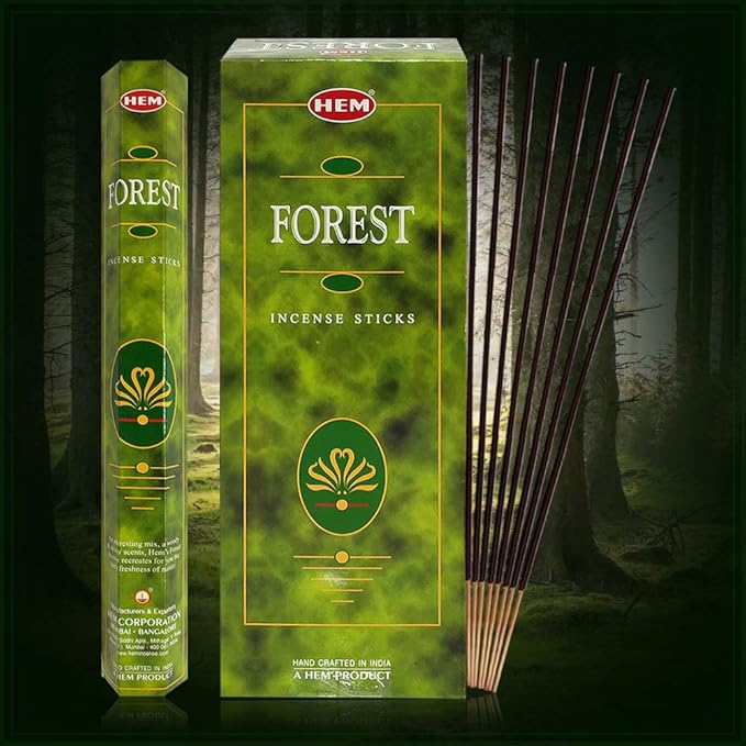 TRUMIRI Forest Incense Sticks & Holder Bundle: 120pcs (6x20) in 1 Box