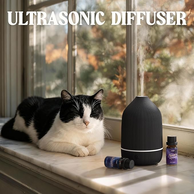 Essential Oil Diffuser, 100ml Aromatherapy Diffuser, Mini Ultrasonic Diffuser for Essential Oil, Home, Office, Cool Mist Humidifier with 7 Led Light, Auto Shut-Off, Black - Bloomnest