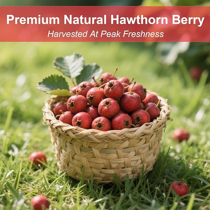 TEARELAE - Hawthorn Berry Tea, 30 Count - Pure Hawthorne Berries Herbal Tea Bags - Sweet and Tangy Flavor - Aid Digestion - Non-GMO - Caffeine-Free - Bloomnest