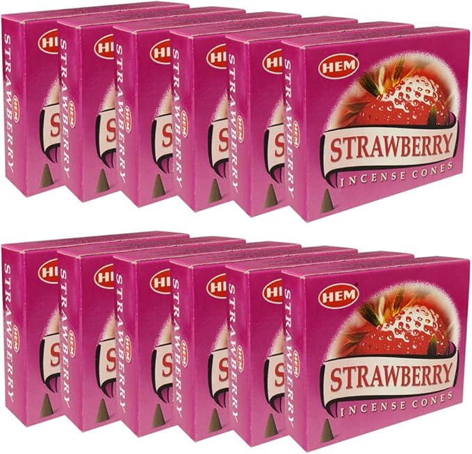 Strawberry Incense Cones and Cone Incense Burner Bundle Insence Insense Hem Incense TRUMIRI