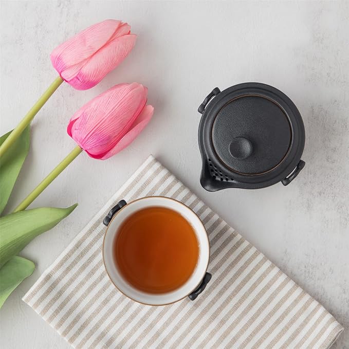 HEER Chinese Travel Gaiwan Tea Set for One, Ceramic Small Kungfu Teapot with Teacup for Adults, Black Japanese Style Tea Accessories Birthday Gift for Tea Lovers. - Bloomnest