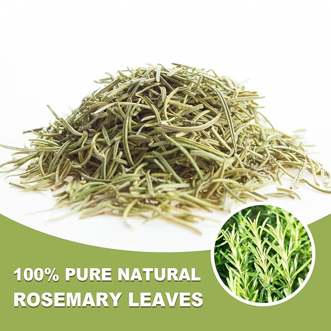 TEARELAE - Rosemary Tea - 1.5g x 50 Count - 100% Pure Rosemary Leaves Tea Bag - Country of Origin Egypt - Aid Digestion & Support Respiratory Health - Bloomnest