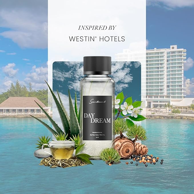 Scentiment Diffuser Oil - Day Dream | Inspired by Westin® Hotel White Tea Scent | Aromatherapy Home Fragrance| Luxurious Scent with Notes of Aloe Vera, Cedar, White Tea (50ml) Scentiment