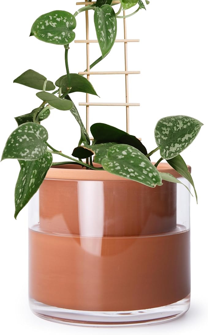 Phoenix Vine 6 Inch Self Watering Plants Pot, Design Terracotta Pot for Plants, Indoor Cylinder Terra Cotta Planter with Glass Vase, Set of 1, 51-A-F-1 - Bloomnest